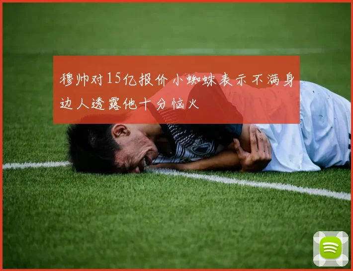 穆帅对15亿报价小蜘蛛表示不满身边人透露他十分恼火