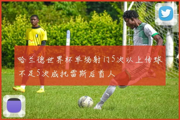 哈兰德世界杯单场射门5次以上传球不足5次成托雷斯后首人