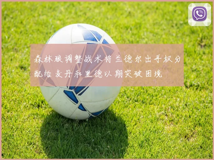 森林狼调整战术将兰德尔出手权分配给麦丹和里德以期突破困境